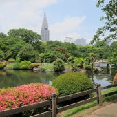 Shinjuku Gyoen National Garden