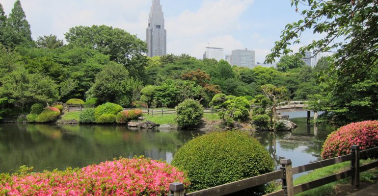 Shinjuku Gyoen National Garden
