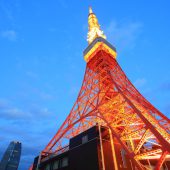 イルミが映える!!東京タワー